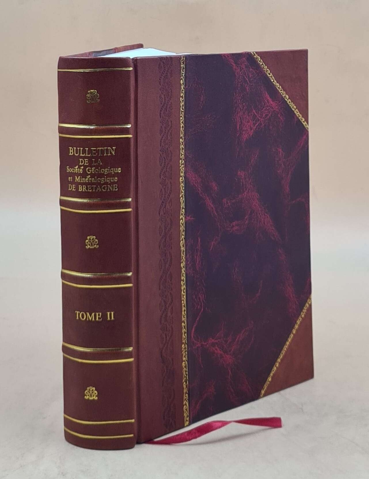 Bulletin De La Societe Geologique Et Mineraleogique De Bretagne Leather Bound Edition