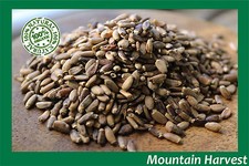 100 WILD CRAFTED MILK THISTLE SEED WHOLE Silybum marianum 1 2 4 6 8 10 12 OZ.