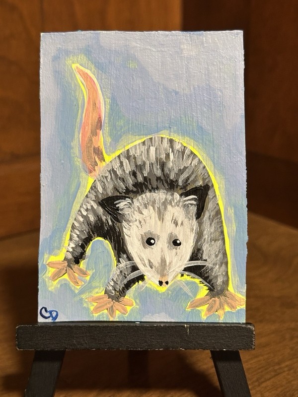 ACEO Original Opossum Wildlife Animal Cute Whimsical Artisticsubversions