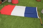 Very Large Vintage Piggotts Sewn Cotton French Flag on Wooden Pole 6ft x 3ft