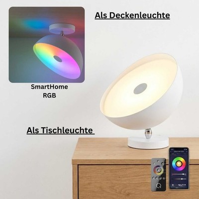 Tischleuchte Paul Neuhaus Q-Alexis Deckenlampe LED 23W CCT RGB Dimmbar SmartHome