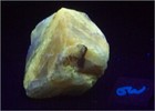 Fluorescent Mexican Calcite Medium Specimen — photo 4