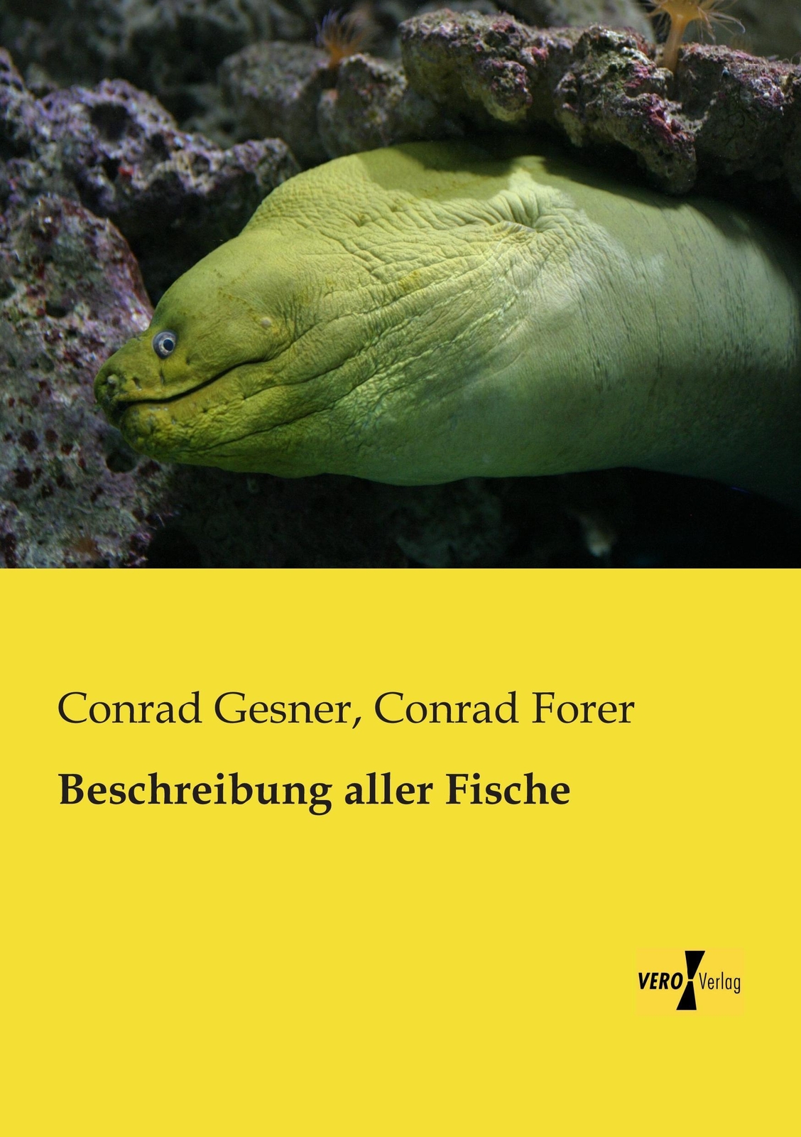 Thumbnail - Conrad Gesner (u. A.) | Beschreibung Aller Fische | Taschenbuch |