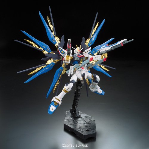 RG 1/144 ストフリ 翼 セット 71B43biROvL._UF894,1000_QL80_.jpg