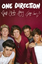 ONE DIRECTION POSTER Amazing Group Shot - Burgundy BGD RARE HOT NEW 24x36