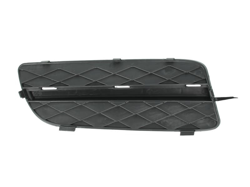 Dummy Grille Air Vent Front Left Fits: BMW X5 E70 02.07-04.10