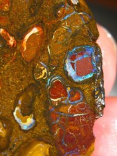 170 cts Australien Roh Koroit Matrix Opal Boulder Rough Sammler Schleifer VIDEO
