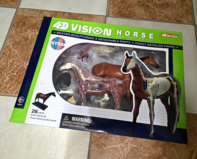 4M 4D Vision Pferd Anatomiemodell Modellbausatz Skelett/Organe 26 Teile