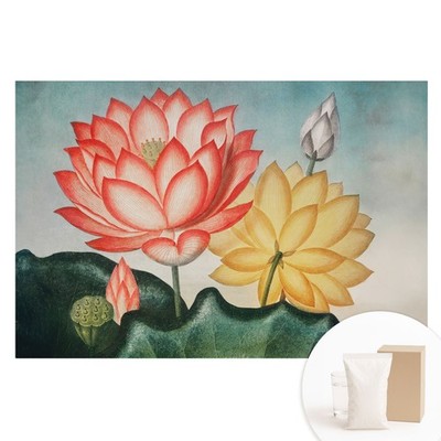 Non-Woven XXL Wallpaper 3D Effect Bedroom Lotus Flowers In A Romantic Style
