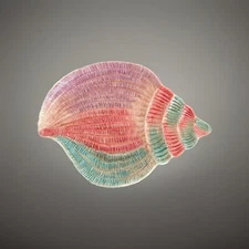 Fitz and Floyd Omnibus Ceramic Multicolor Seashell 8.5” Plate