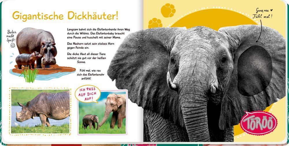 Thumbnail - Fühl Mal Hier, Kennst Du Das Tier? Wilde Tiere | Buch | 10 S. |