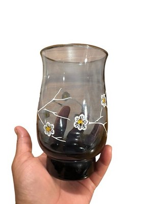 Hand Painted Vintage Libbey Blue Dogwood Glasses Mid-Century Tumbler Set Retro