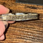 Bear & Bull Pearl Jacket Knife New In Box — photo 9