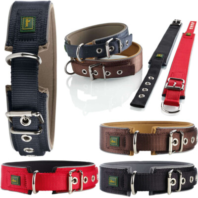 Hunter Neopren Hundehalsband reflektierend Hunde Halsband alle Farben &  Gren | eBay.de