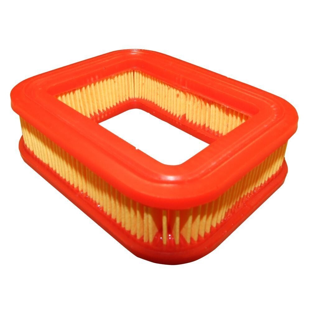 Genuine Air Filter Fits GGP RSC100 118550748/0 S461HP, S461RHP, HP46R Engine C33