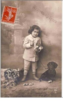 DACKELHUND MÄDCHEN.YINGTYANG