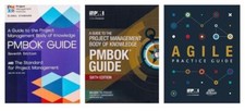 Ein Leitfaden zum PMBOK 6. + PMBOK 7. AUSGABE...