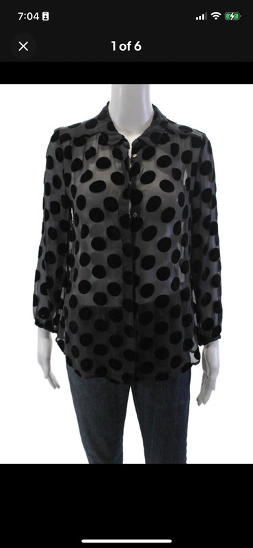 Madewell Alexa Chung Sheer Silk Polka Dot Long Sleeve Blouse Top XS