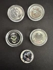 SILVER Pirate/lion/dino/ astronaut set of  5  1 Gram .999 Fine Silver Colorized