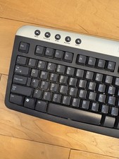 Dell PS2 Multimedia Keyboard Black and Silver RT7D30 2R400