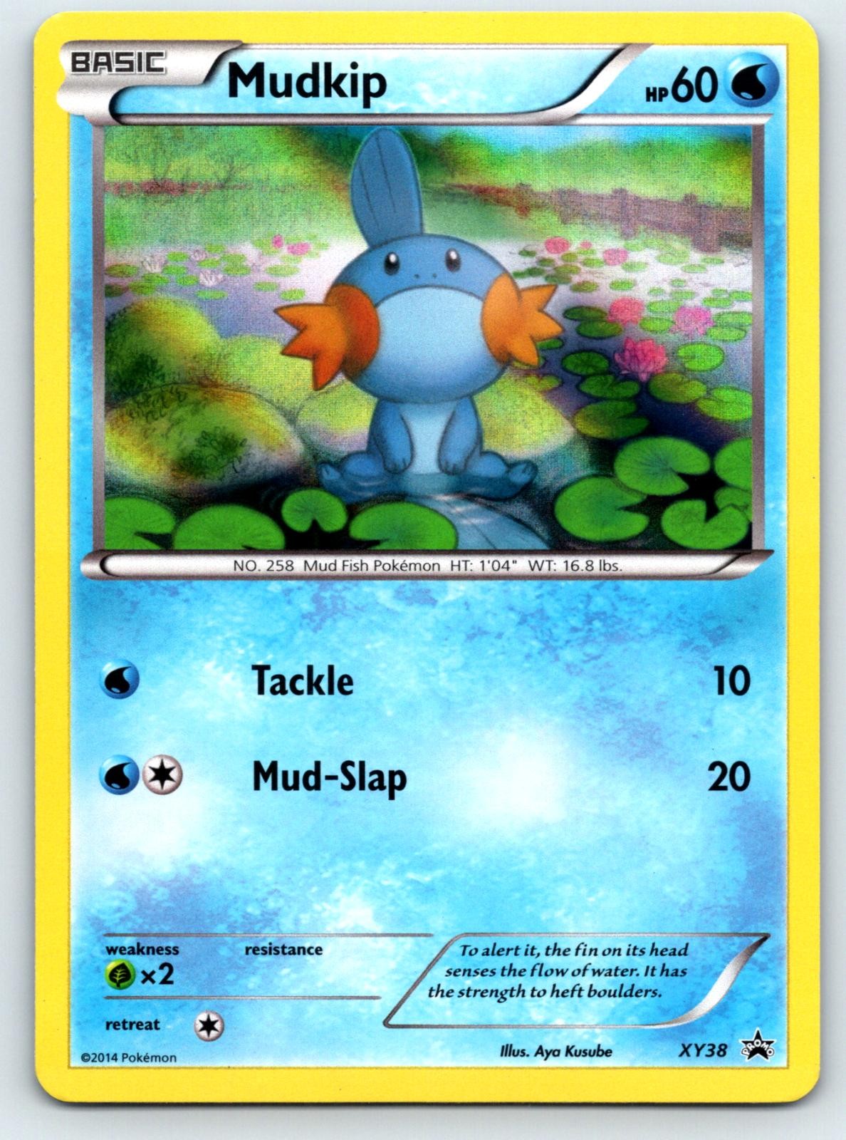 Mudkip XY38 Holo Promo XY Promo Pokemon Lightly Played