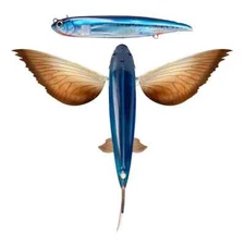 Nomad SLIPSTREAM 280 FLYING FISH CALIFORNIA 11" -=FREE SHIPPING=-