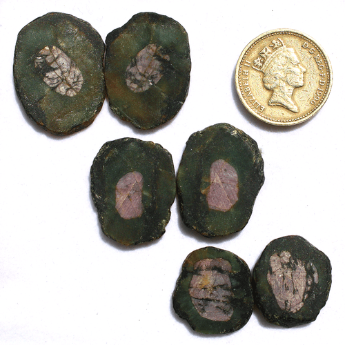 6 PC Natural Watermelon Ruby Matching Pair 19mm-28mm Rough Slice Loose Gemstones - Picture 2 of 14