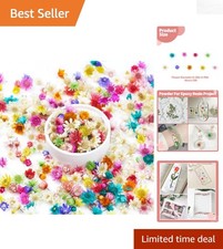 300 PCS Colorful Mini Dried Flowers for Resin Art  DIY Crafting Joy
