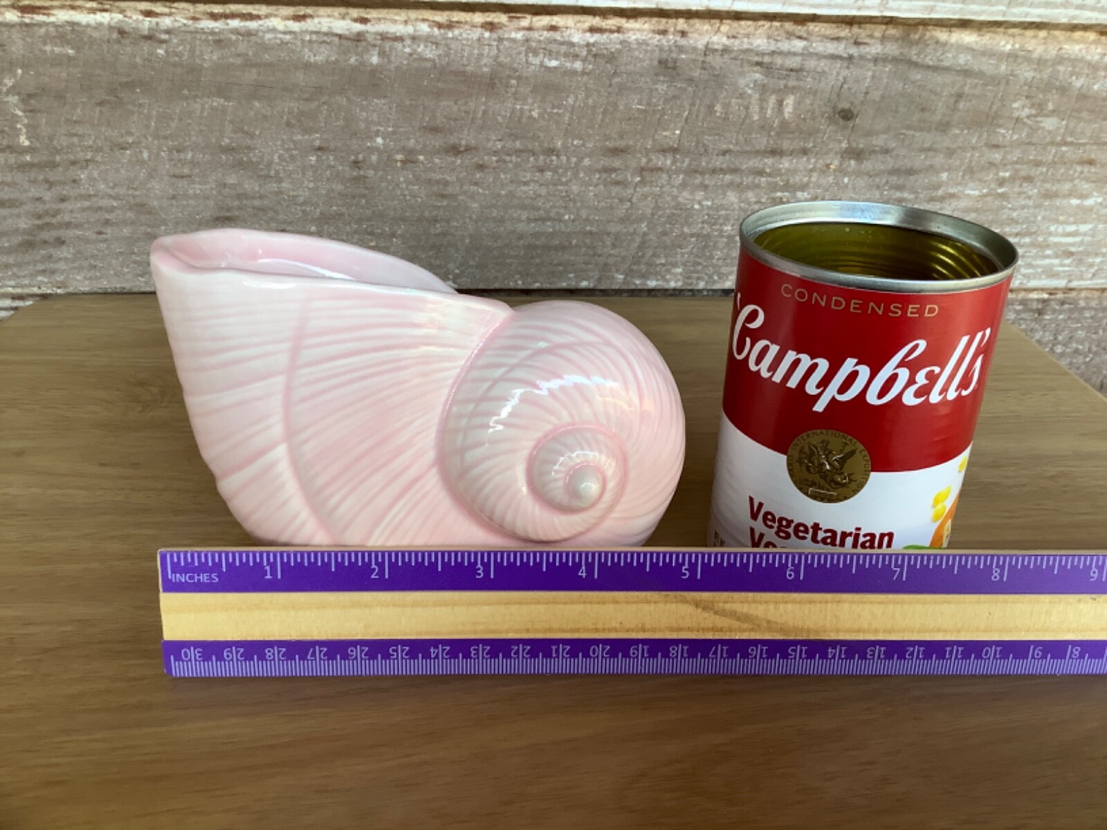 Bild 12 von 19