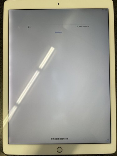 6 x Apple iPad Pro 2nd Gen 256GB (GOLD), Wi-Fi, 12.9 in - Backlight issues - Afbeelding 3 van 12