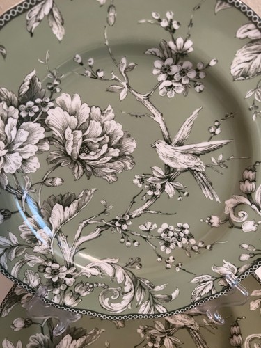 Juego de 4 platos de cena 222 Fifth Adelaide verde salvia 10,75” NUEVO - Imagen 2 de 4