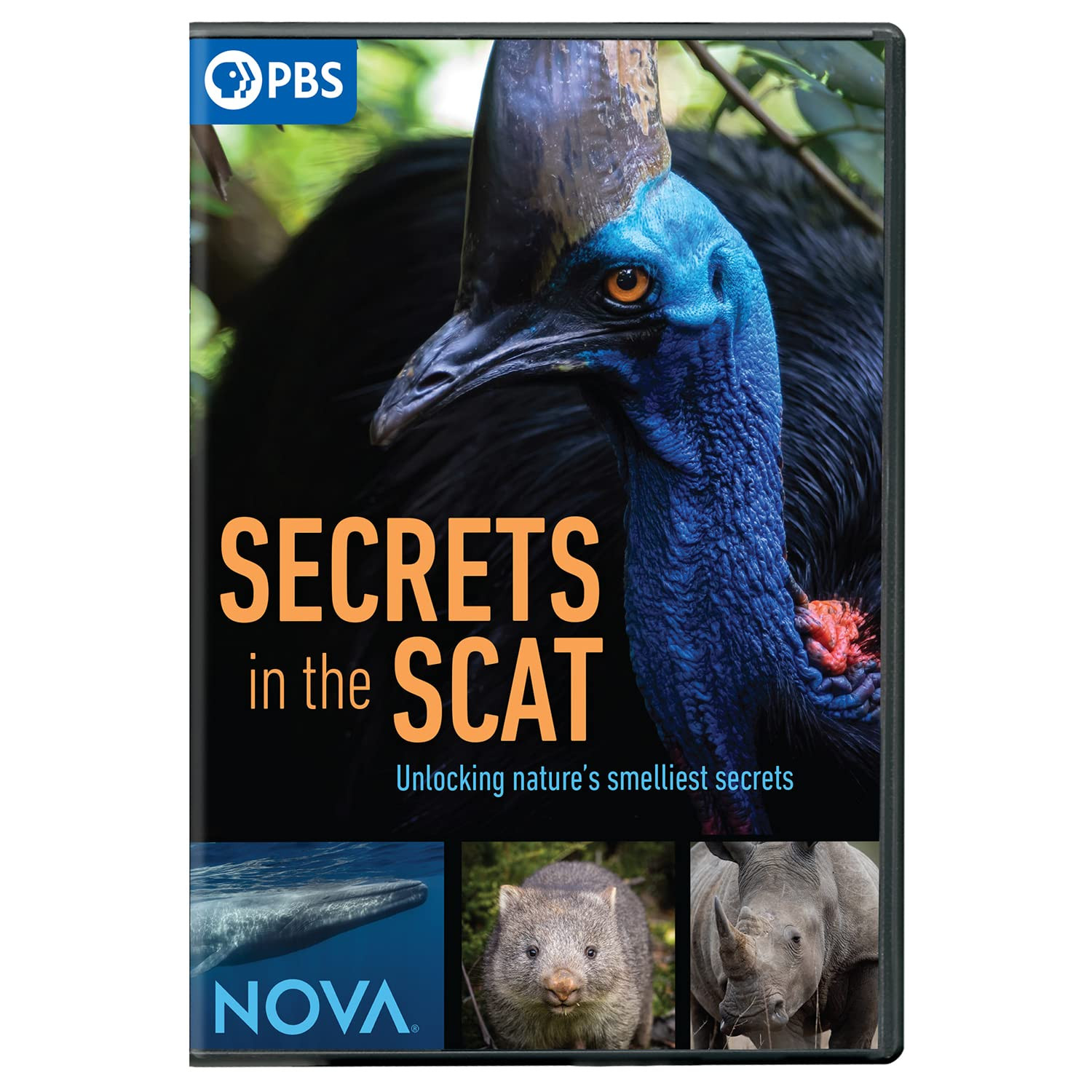NOVA: Secrets in the Scat (DVD)