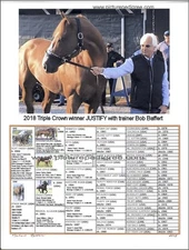 Race Horse Justify  8 by 11  pedigree with picture ready to frame Bob Baffert
