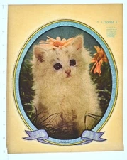 VINTAGE 1979 Heat Transfer | White Kitten with Flower Glitter
