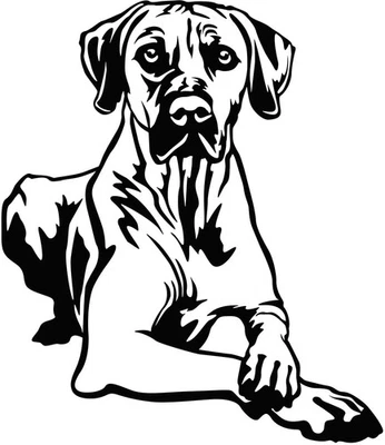 RHODESIAN RIDGEBACK Aufkleber - Ridgeback Autoaufkleber - sticker - Kontur #58 - Bild 1 von 3