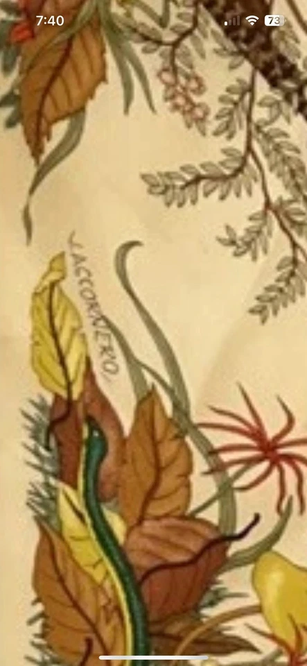 "Bufanda de seda rara GUCCI V. Accornero 34"" de colección insectos flores hongos" Foto 4 de 4