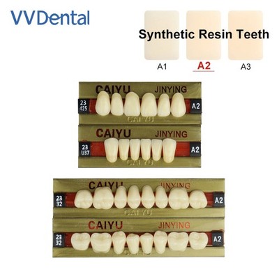 Dental Teeth Anterior Posterior Polymer Denture Four Layer Synthetic Resin Teeth