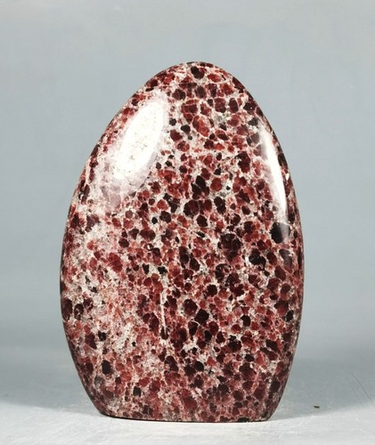 Natural Red GARNET Crystal Polished Standup Display Freeform - Madagascar - Picture 5 of 10