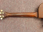 Picture 8 of 14