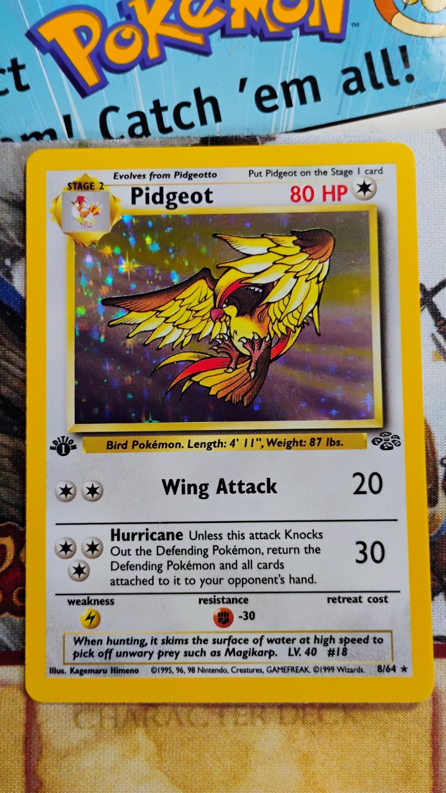 Pidgeot 8/64 Holo Rare 1st Edition Jungle 1999 Pokemon NM