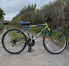 Raleigh Mantis Limited Edition Vintage 1980s Bike 18in Frame in Multicolour