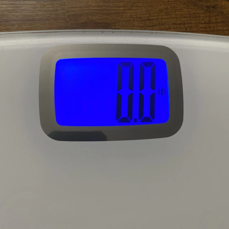 Báscula de baño digital de vidrio Taylor usada en excelente estado acabado gris PLATEADO 500 lb Foto 2 de 3