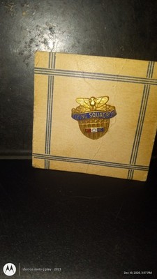 Antique Flying Squadron F.O.E ENAMEL PIN