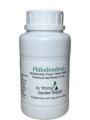 Philodendron and Similar Ready to Use Cloning Tissue Culture Media Mix