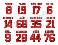 New Jersey Devils DECAL STICKER 2010s Zubrus Zajac Subban Henrique Jagr Palmieri