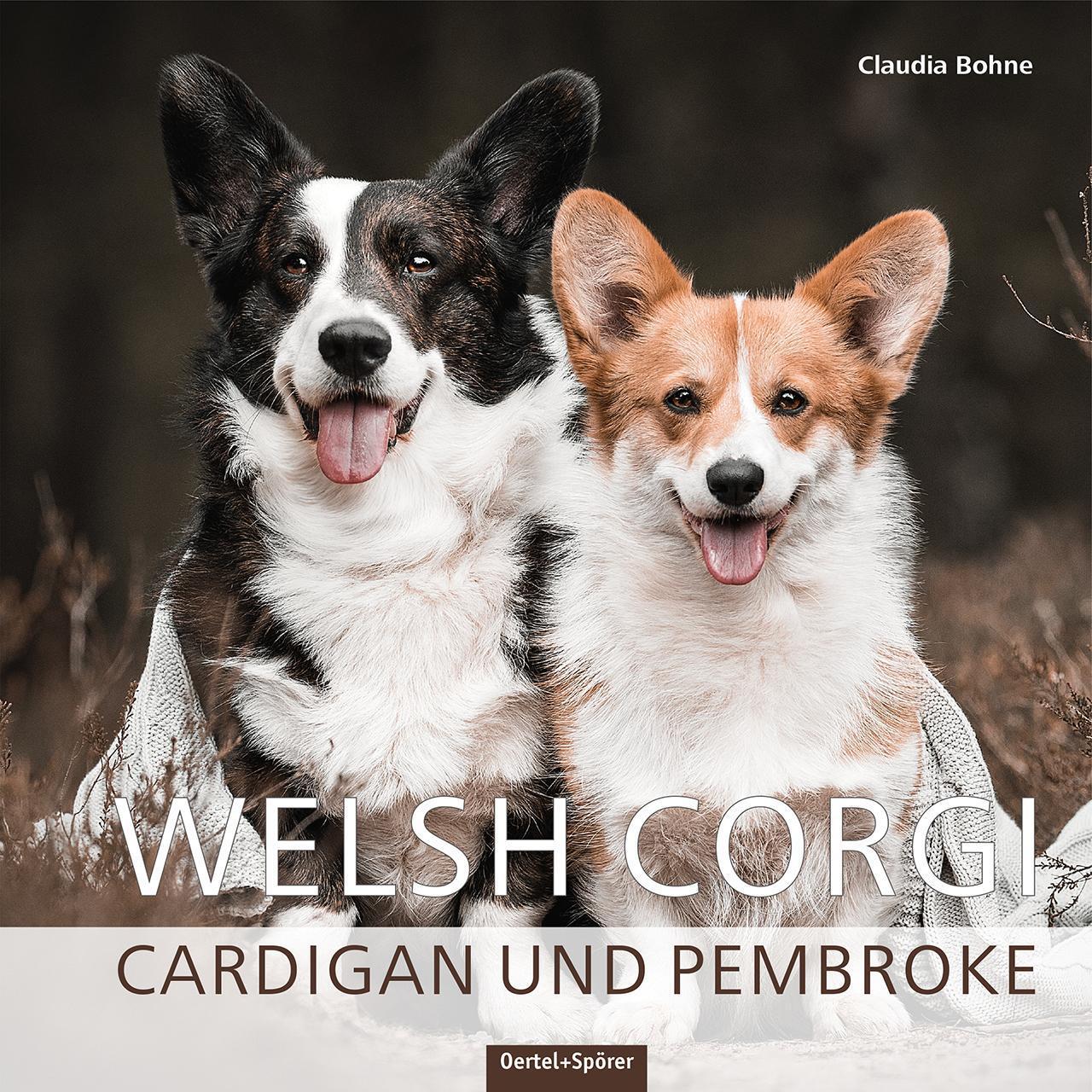 Thumbnail - Welsh Corgi, Claudia Bohne