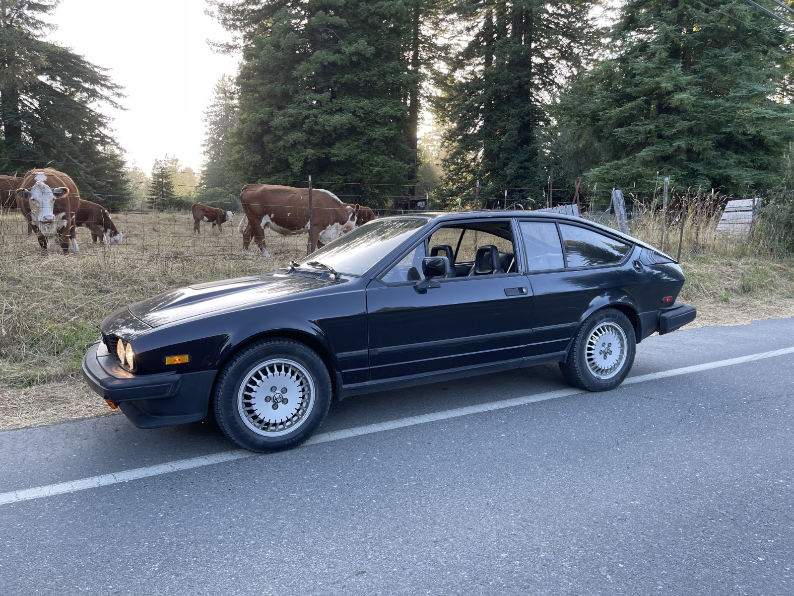 1986 Alfa Romeo GTV for sale in Mckinleyville California