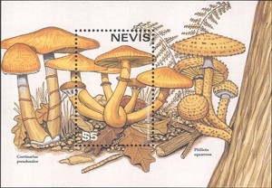 Nevis 1997-1999 #1028 & 1151 MNH Fungi/Mushrooms of the World/Flowers/Nature