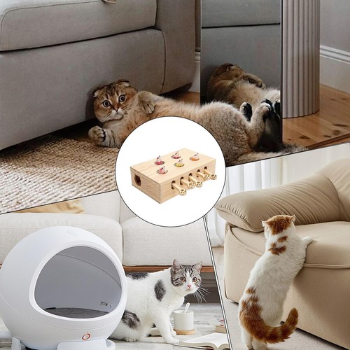 Cat Scratching Interactive Toy Cardboard Wooden Whack A Mole 12.99x10.24x3.94 In - Picture 9 of 12