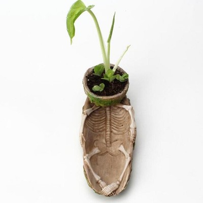 Sukkulenten Topf im Skelett Design, Blumentopf, Mini Pflanzgefäß,
